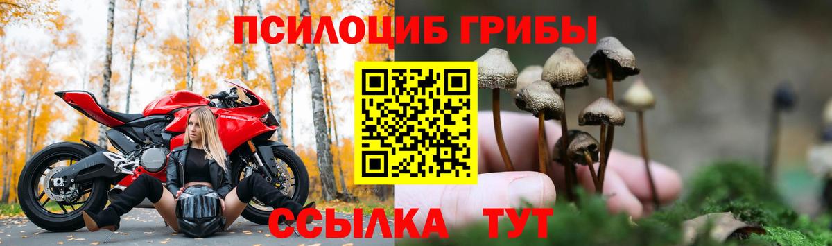 Галлюциногенные грибы MAGIC MUSHROOMS  где найти наркотики  Армавир  Галлюциногенные грибы MAGIC MUSHROOMS  Вход с VPN 
